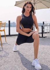 Fitness apparel workout clothing women shorts 2 piece yoga set