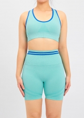 Seamless Activewear Set Ribbed Yoga Shorts And Crop Top Set