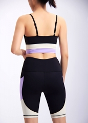 Women Breathable Quick Dry Fitness Gym Clothing Sports Bra And High Waist Shorts Yoga Sets